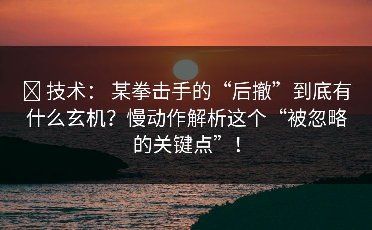 ✅ 技术： 某拳击手的“后撤”到底有什么玄机？慢动作解析这个“被忽略的关键点”！